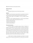 Siembra Artesanal de Maiz