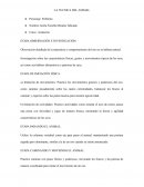 La técnica del animal