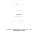 Programa de administración de empresas