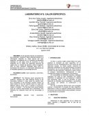 Informe de laboratorio: Calor Específico