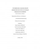 Estrés del estudiante de enfermería online durante las rotaciones clínicas en Puerto Rico