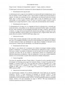 Sistemas de Alcantarillado. Cargas, soportes y esfuerzos