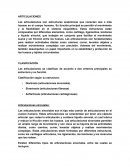 Clasificación de articulaciones