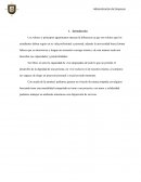 Trabajo sobre la película Black