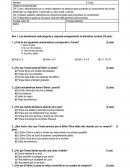 El vampiro vegetariano