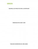 Desarrollo de productos pra la exportación