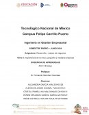 Importancia de la micro, pequeña y mediana empresa