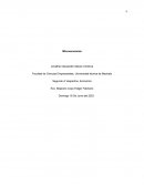 Determinantes de la oferta y demanda