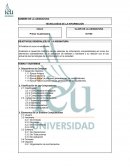 Sistema Computacional