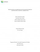 Proteccion de los derechos de los sujetos de derecho internacional: desafios y perspectivas