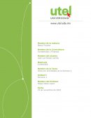 Bases fiscales. ¿Cómo consultar a la autoridad fiscal?