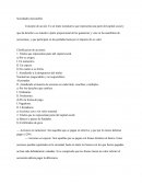 Sociedades mercantiles. Clasificación de acciones