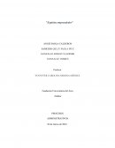 Procesos administrativos. Espíritu Emprendedor