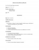 Proyecto Matemática