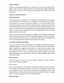 Salud sexual. Aborto. Los síntomas del aborto espontáneo