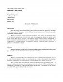 Radiaciones y ondas guiadas