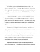 La Raspberry Pi 4 Model B