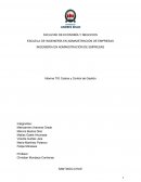 Informe TIG Costos y Control de Gestión