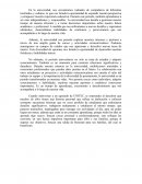 Aporte ensayo proyectos institucionales