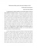 Modernización del Riego Agrícola: Innovación Tecnológica en el Perú