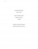 Actividad práctica aplicada - Análisis de casos