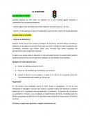 El semáforo verde y amarillo