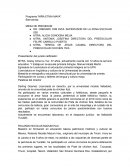 Programa Niña Etnia Maya