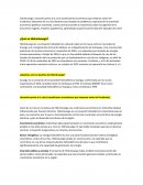 ¿Qué es Hidroituango?