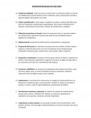 Descripción de cada tarea de una construcción