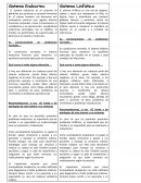 Sistema endocrino. Sistema Linfático