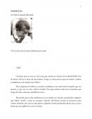 Crónicas de un Desconocido