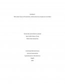 Estrategia para comercializar tortillas de harina el Trigal sin Gluten