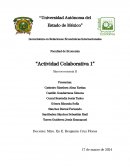 Macroeconomía. Balanza de pagos de México