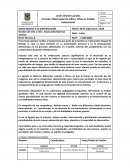 Formato: Observador de niños y niñas en Ámbito Institucional