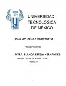 Bases contables y presupuestos