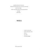 Viabilidad de la educación virtual