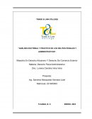 Delitos Penales y Administrativos