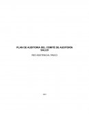 Plan de auditoria del Comité de auditoría salud