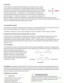 Aminoácidos. Comportamiento ácido-base de los aminoácidos libres en solución