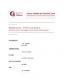 Introducción a la Psicología Social y Teoría de los grupos