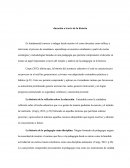 Educación a través de la historia