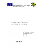 Informe de Práctica Profesional UPEL