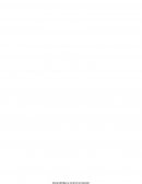 Ley Chao Bolsas Chile - Sostenibilidad y Control de Gestión