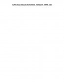 Red de contenidos transicion mayor