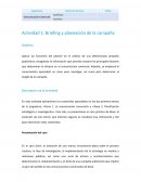 Comunicación Comercial. Briefing y planeación de la campaña