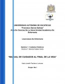 Manual de cuidados al final de la vida. Cuidados Paliativos