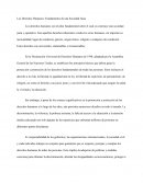 Los Derechos Humanos: Fundamentos de una Sociedad Justa