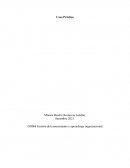 Visteon se prepara para ser una organización de aprendizaje