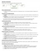 Democracia y participación. Características de una república democrática