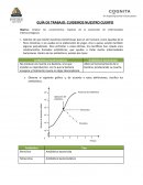 Guía de trabajo: Cuidemos nuestro cuerpo